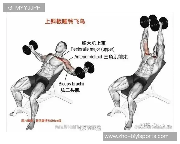 有效提升胸肌力量的哑铃锻炼方法与技巧分享